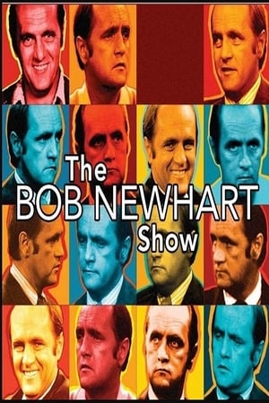 Newhart poszter