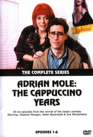 Adrian Mole: The Cappuccino Years poszter