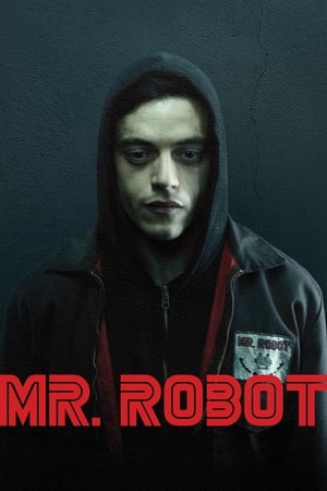 Mr. Robot poszter