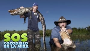 Gator Boys kép