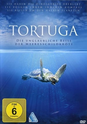 Turtle: The Incredible Journey poszter