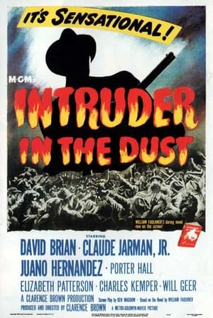 Intruder in the Dust poszter