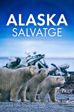 Vad vidékek - Alaszka poszter