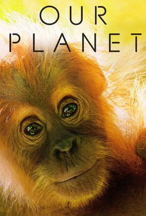 Our Planet – Bolygónk csodái poszter