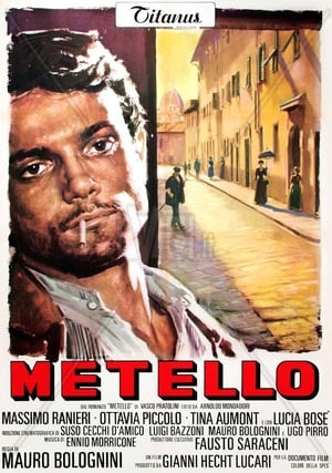 Metello