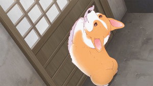 殿と犬 1. évad Ep.13 13. epizód