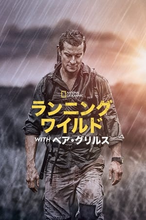 Bear Grylls: Sztárok a vadonban poszter