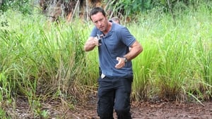 Hawaii Five-0 6. évad Ep.13 13. epizód