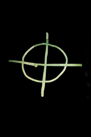 The Zodiac poszter