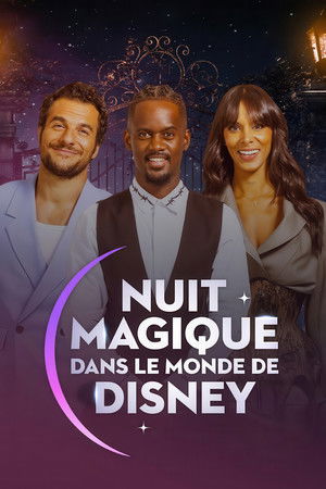 Nuit magique dans le monde de Disney poszter