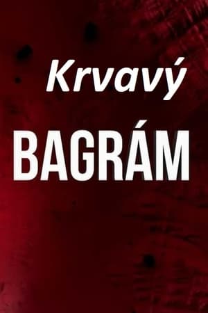 Krvavý Bagrám