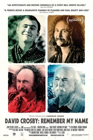 David Crosby: Remember My Name poszter