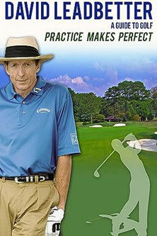 David Leadbetter : Practice Makes Perfect poszter