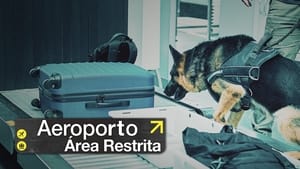 Aeroporto: Área Restrita kép