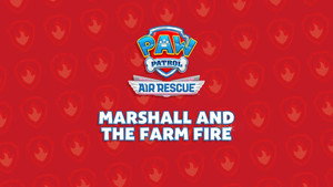PAW Patrol: To The Rescue 1. évad Ep.5 5. epizód