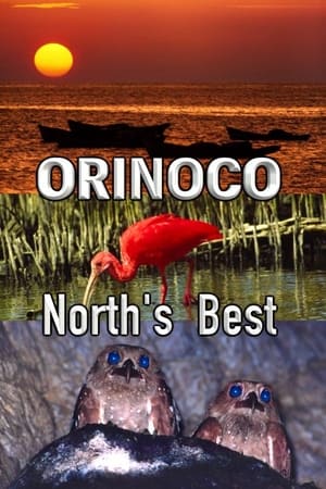 Orinoco, North’s Best