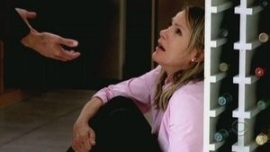 CSI: New York-i helyszínelők 3. évad Ep.6 Nagy totál