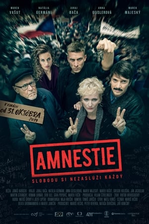 Amnestie