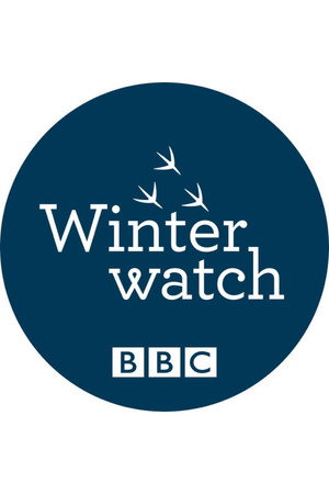 Winterwatch poszter