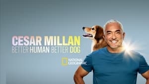 Cesar Millan: Jó gazdi, jó kutya kép