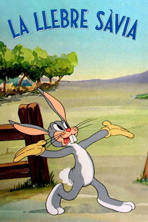 Hare-um Scare-um poszter