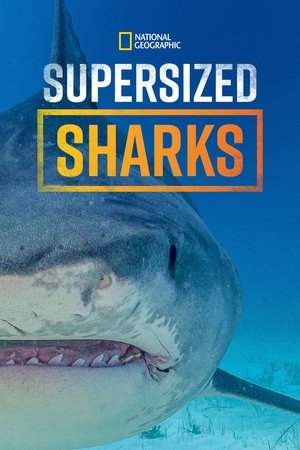 Supersized Sharks poszter