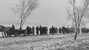 Материнское поле háttérkép