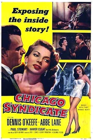 Chicago Syndicate poszter