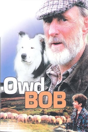 Owd Bob