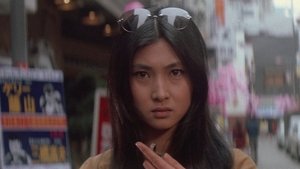 女番長　野良猫ロック háttérkép