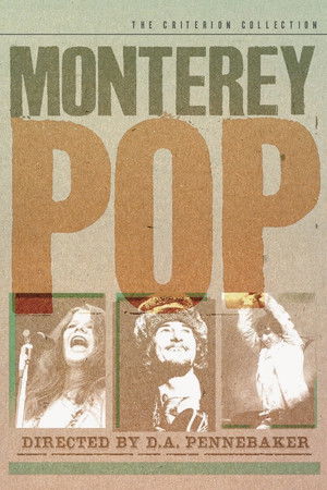 Shake! Otis at Monterey poszter