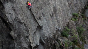 The Risk Business - Chasing Pete Whillance háttérkép