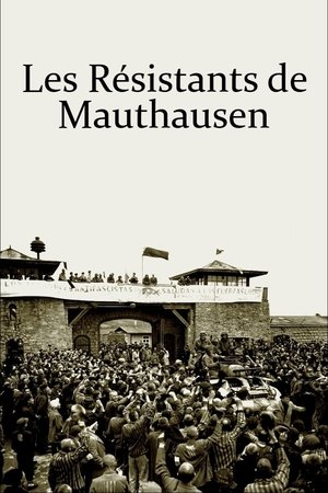 Les Résistants de Mauthausen poszter