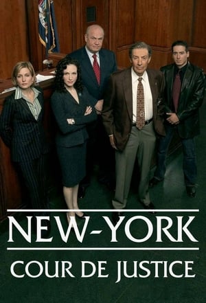 Law & Order: Trial by Jury poszter