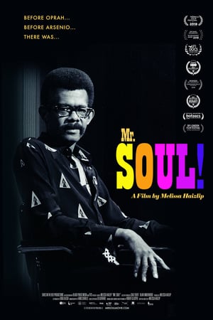 Mr. SOUL! poszter