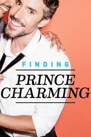 Finding Prince Charming poszter