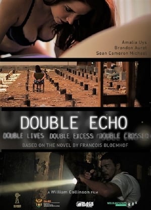 Double Echo poszter