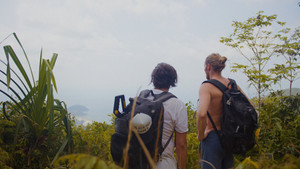 Coconut Valley háttérkép