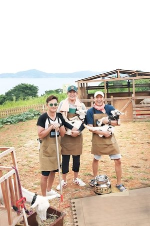 삼시세끼 어촌편 poszter