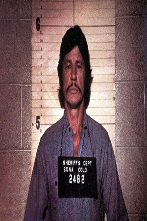 Bronson Brothers profil kép