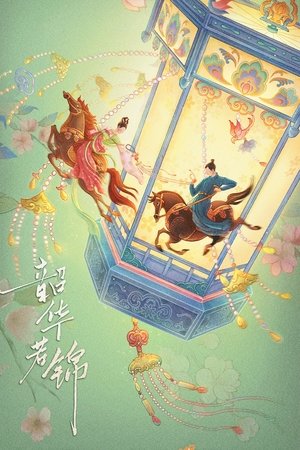 韶华若锦