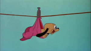Pluto Junior háttérkép