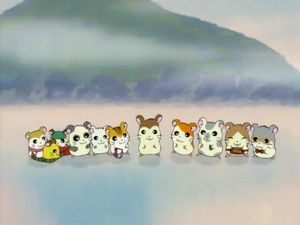 とっとこハム太郎 Season 1 Ep.23 23. epizód