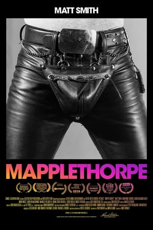 Mapplethorpe poszter