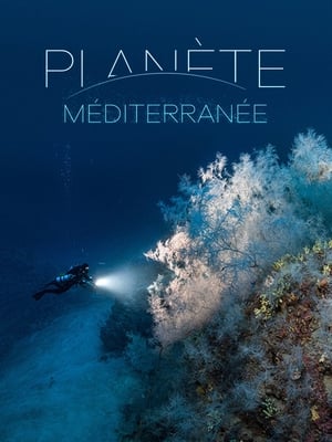 Planète Méditerranée