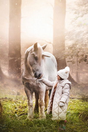 Tale of the Forest Unicorn poszter
