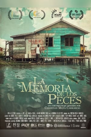 La memoria de los peces poszter