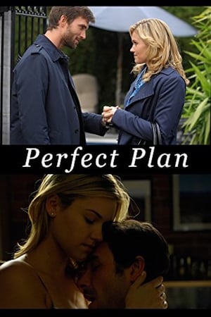 Perfect Plan poszter