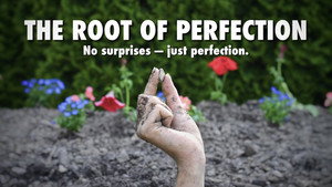 The Root of Perfection háttérkép