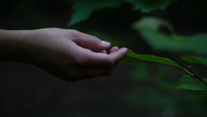 Liminal Girl háttérkép